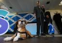 Unfortunately we were only joined by the Wee Ginger Dug's human, Paul Kavanagh