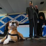 Unfortunately we were only joined by the Wee Ginger Dug's human, Paul Kavanagh