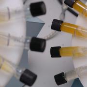 A male British athlete is reportedly under investigation by anti-doping authorities (Johnny Green/PA)