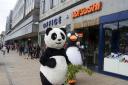 A penguin plays Spud to the giant panda's Renton in the zoo's version of the Princes Street chase