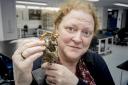 Professor Dame Sue Black, director of the University of Dundee’s Centre for Anatomy and Human Identification, with the bones from William Bury’s neck