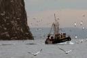 There is concerns regarding Scotland's fishing industry