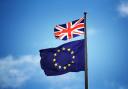 Nearly all SME businesses reported Brexit had a negative impact in the survey