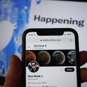 Twitter has always been fractious but Elon Musk has validated the spread of the disinformation