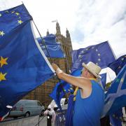 Anti-Brexit demonstrators wave European Union flags outside the Houses of Parliament in London