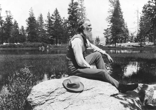 John Muir, Scottish-born American naturalist, engineer, writer and pioneer of conservation