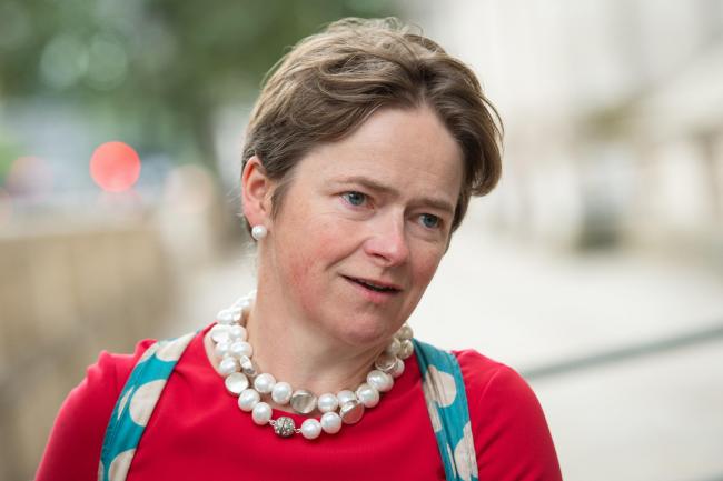Tory peer Dido Harding is in charge of the UK Government's National Institute for Health Protection