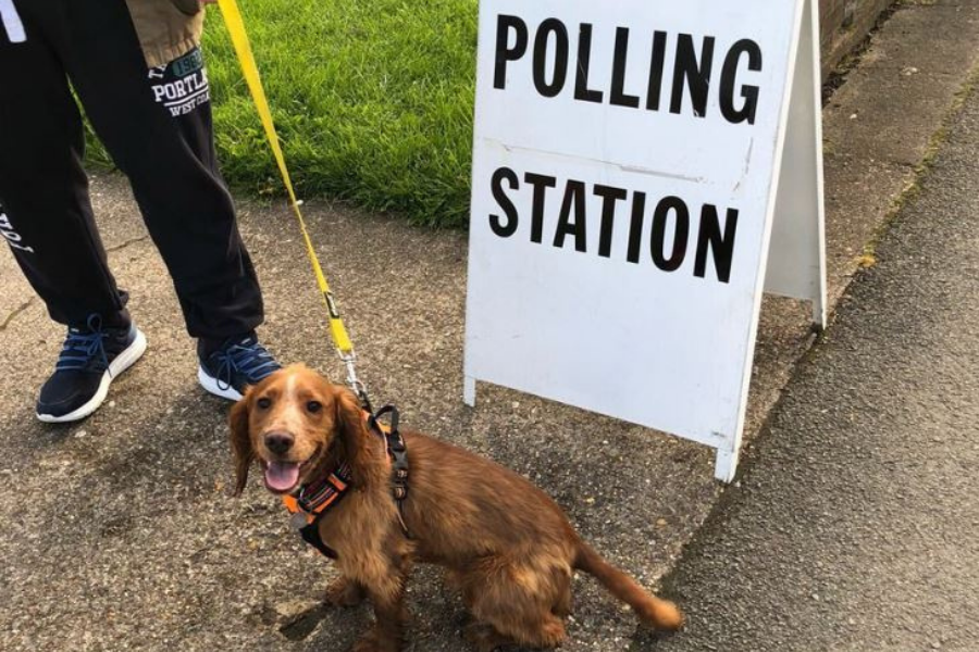 Dogs at polling stations are the real stars of the Scottish Parliament election