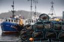 UK fish and seafood exports, which include salmon, are down by £6.2m per week over the three-year period