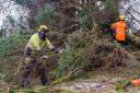 Work has been done to restore power to thousands of homes after Storm Arwen felled trees causing widespread disruption to energy networks