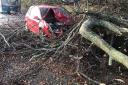Storm Arwen wreaked havoc in Scotland last November