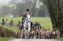 The Scottish Greens have called again for the Scottish Government to ban fox hunting