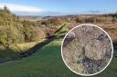 Experts are investigating suspected evidence of illegal metal detecting at the Bar Hill Fort