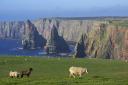 Duncansby Head is featured in Chronicles of the First Light as points of residence and departure for the meditations and pronouncements it prompts