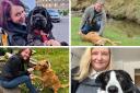 Voting open for Holyrood Dog of the Year – how to vote