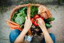 Good Food Nation Bill: Scotland must move faster on food laws