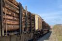 BSW Group said multiple factors have led to the timber industry experiencing a 