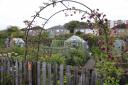 SNP branches have proposed greater access to communal gardens such as the Victoria Park Allotments in Glasgow, above. Photograph: Mark F Gibson