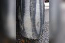 Ayrshire Police shared a photo of the threadbare tyre on social media