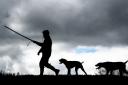 The Scottish Parliament will vote on the first stage of the Hunting With Dogs Bill on Tuesday