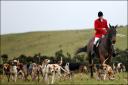 A fox hunting ban would not only protect the wild animals but also bring the elite to heel
