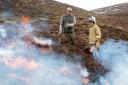 The burning of heather on grouse moors helps increase the number of grouse available for shooting but is damaging to the environment