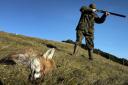 Experts have warned that the fox hunting licences could be used for 'illegal activity'