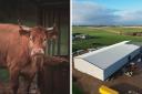 NorFrame's Aberdeenshire factory will be powered by silage