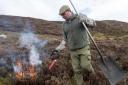 The level of muirburn taking place in Scotland has remained stable over the past four decades, according to new research