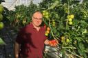 Scotland’s last tomato grower opens up on fresh challenges