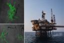 The images of slicks are part of a report into both permitted and unpermitted spills of oil in UK waters
