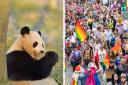 Edinburgh Zoo said that supporting LGBT+ equality would help create a nature community where everyone is welcome