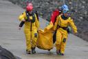 Divers from the British Divers Marine Life Rescue team are assisting with the rescue