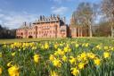 You have to extend your tolerance for excess at Mount Stuart, the Sistine Chapel of Scottish country houses.