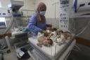 A nurse cares for premature Palestinian babies who were transferred from Shifa Hospital after it was evacuated