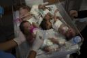 Dozens of premature babies were transported to Egypt
