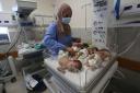 A nurse cares for prematurely born Palestinian babies that were brought from Shifa Hospital in Gaza City to the hospital in Rafah, Gaza Strip