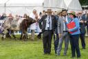 First Minister Humza Yousaf meets competitors and judges in the cattle ring at the Royal Highland Show