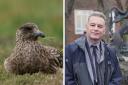 Chris Packham said birds need support now more than ever