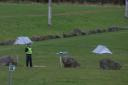 Police have provided a new update after 'burned human remains' were found in Motherwell