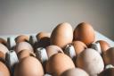 Stock image of eggs. Photo: Unsplash/Jakub Kapusnak