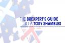 The Brexpert's Guide To A Tory Shambles