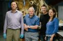 David Attenborough with the science team and Jumbo's skull