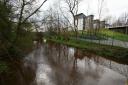 Polmadie burn in Glasgow has become the site of an Erin-Brockovic style disaster. Photograph: Colin Mearns