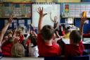 Children learning rural skills at primary school could potentially end up in rural jobs’