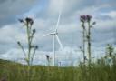 The UK Government's plans for zonal electricity pricing could hurt renewables investment in Scotland