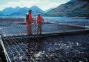 Pesticide limits for fish farms have been increased after pressure from the sector