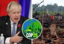 Boris Johnson must follow up deforestation deal with action, say Greens
