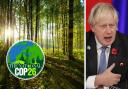 'Cracks' starting to show in Boris Johnson's forest deal two days later