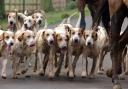 The Scottish Government has published its Hunting with Dogs (Scotland) Bill